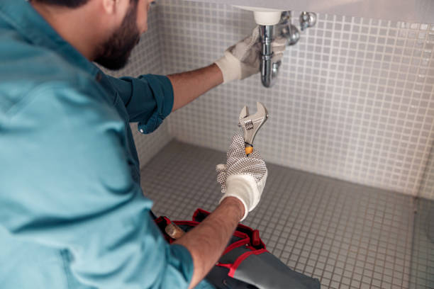 Best Drain Cleaning and Unclogging  in Crainvle, IL